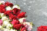 Rosen sind hier zu sehen, die in dem Brunnen auf dem Nicolai-Platz schwimmen.