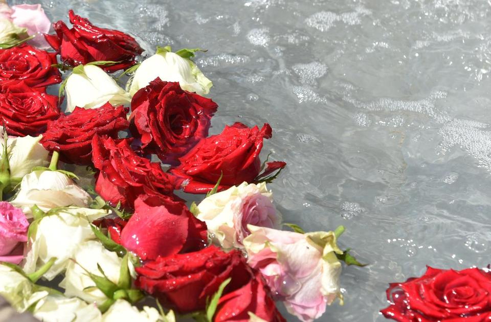 Rosen sind hier zu sehen, die in dem Brunnen auf dem Nicolai-Platz schwimmen.