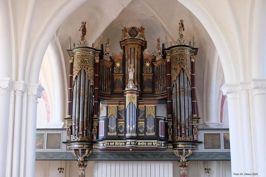 Zu sehen ist die Orgel in der St.-Ägidius-Kirche Berne